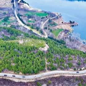沿黄赏花正当时！洛阳青年自驾畅游新安春日画卷