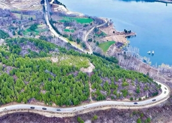 沿黄赏花正当时！洛阳青年自驾畅游新安春日画卷